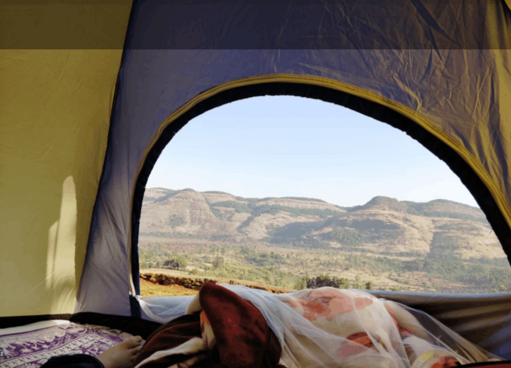 Bonfire night camping